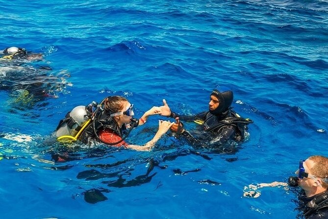 Marmaris / Icmeler : Scuba Diving with Lunch and Transfer - What You Can Expect to See in the Mediterranean