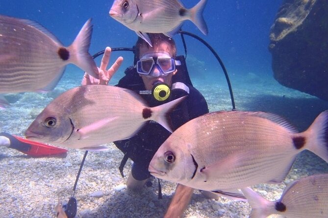 Marmaris / Icmeler : Scuba Diving with Lunch and Transfer - Price and Value: Why $23.31 Feels Like a Good Deal