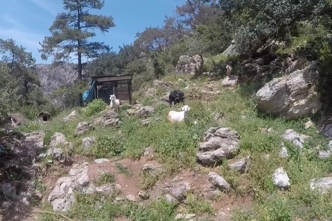 Marmaris Jeep Safari, Waterfall, Jesus Beach and Water fight - Guides and what to expect from the human side