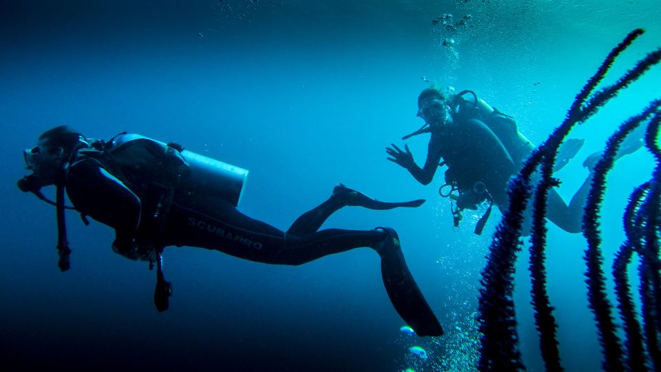 Marmaris: Scuba Diving Experience with 2 Dives and Lunch - Key Highlights You’ll Actually Care About