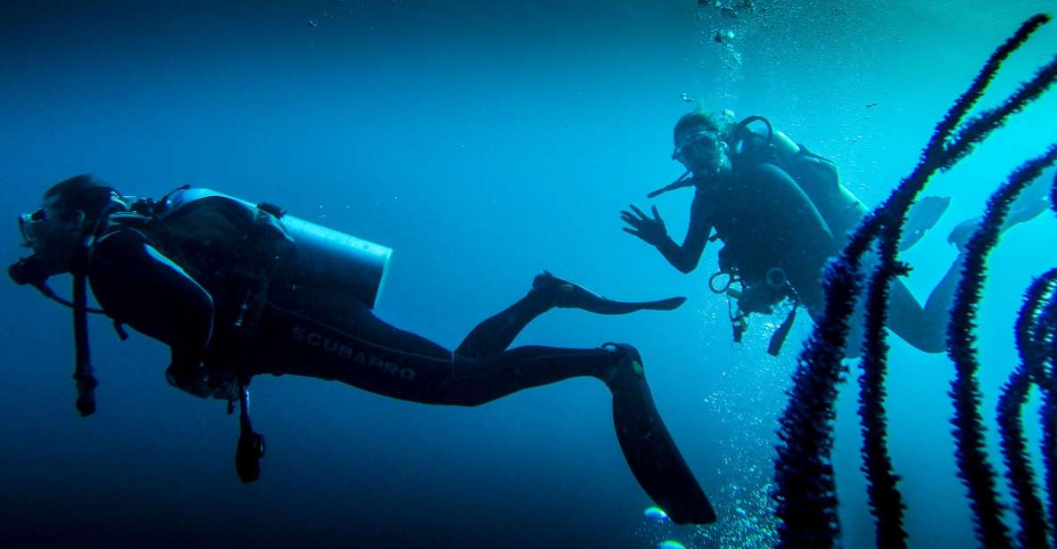 Marmaris: Scuba Diving Experience with 2 Dives and Lunch - Marmaris Scuba Day in Plain Terms: What You’re Paying For