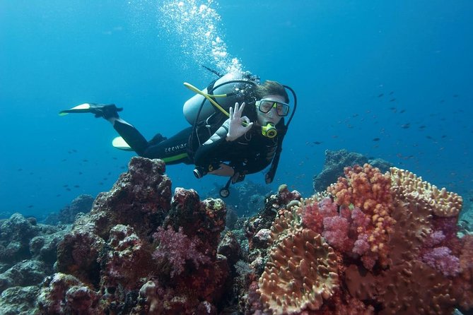 Marmaris Scuba Diving Experience with Lunch & Hotel Transfers - A Six-Hour Schedule Built Around Two Underwater Sessions