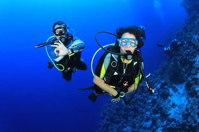 Marmaris Scuba Diving Experience with Lunch & Hotel Transfers - Hotel Transfers and the 9:05 Start Time You Should Plan For