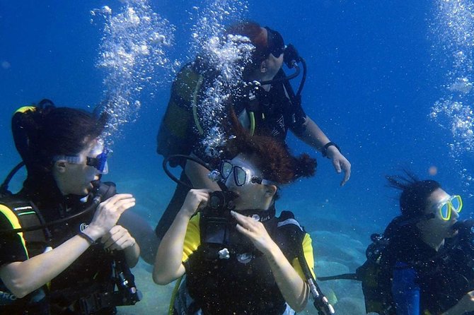 Marmaris Scuba Diving Experience with Lunch & Hotel Transfers - Value for $30.01: What You Get for the Money