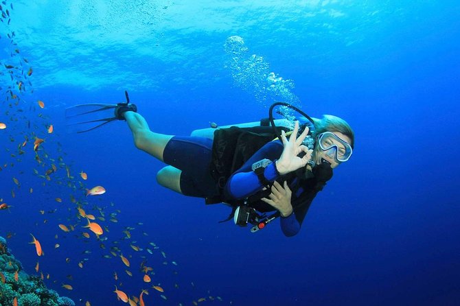 Marmaris Scuba Diving Experience with Lunch & Hotel Transfers - Managing Expectations: Limited Fish and One-Day Site Choices