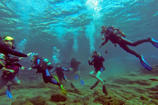 Marmaris Scuba Diving Experience with Lunch & Hotel Transfers - Two Underwater Sessions in One Day: How the Groups Work