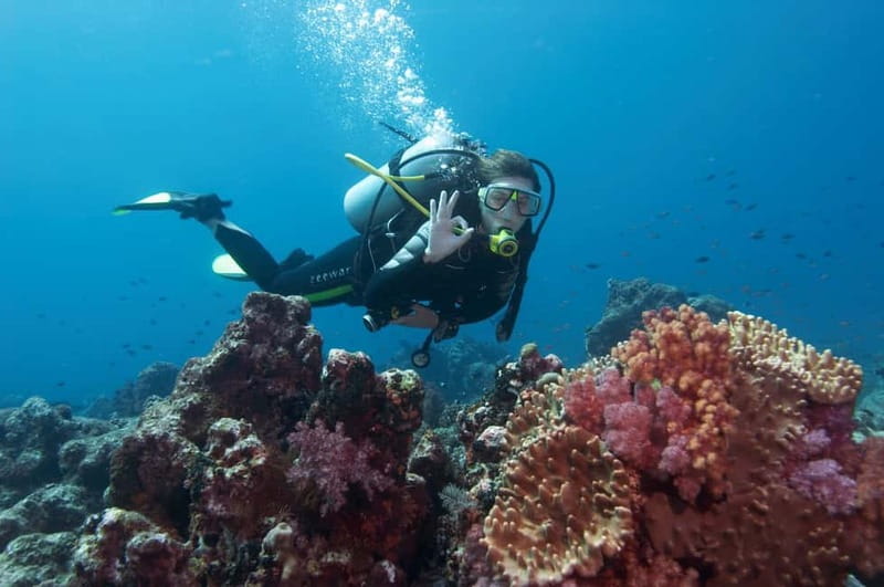 Marmaris: Scuba Diving, Incl. 2 Dive, Lunch w/Hotel Transfer - Getting ready on the way out: what you learn before you’re in the water