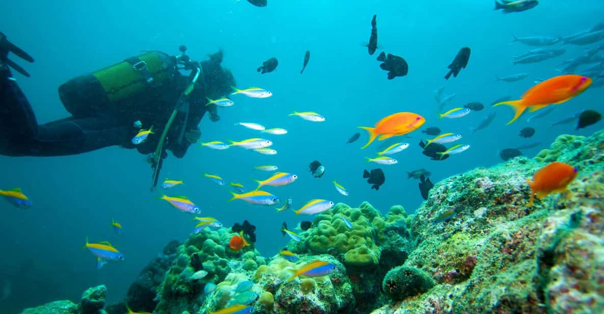 Marmaris: Scuba Diving with a Qualified Instructor - Your 7 hours: two 30-minute underwater sessions and boat time
