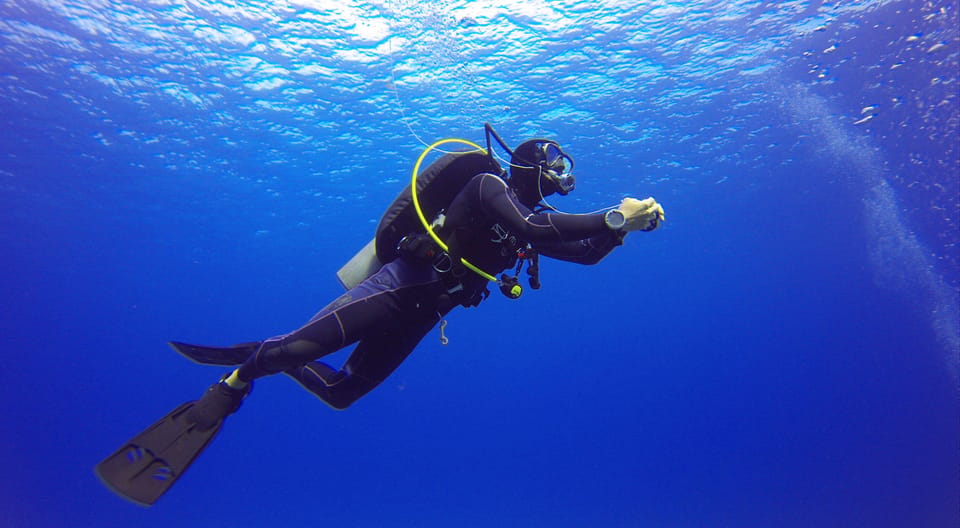 Marmaris: Scuba Diving with a Qualified Instructor - What you’ll see below: caves, coral shapes, and fish-filled bays