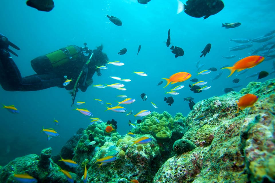 Marmaris: Scuba Diving with a Qualified Instructor - Safety-first setup: instructors, modern equipment, and paramedics