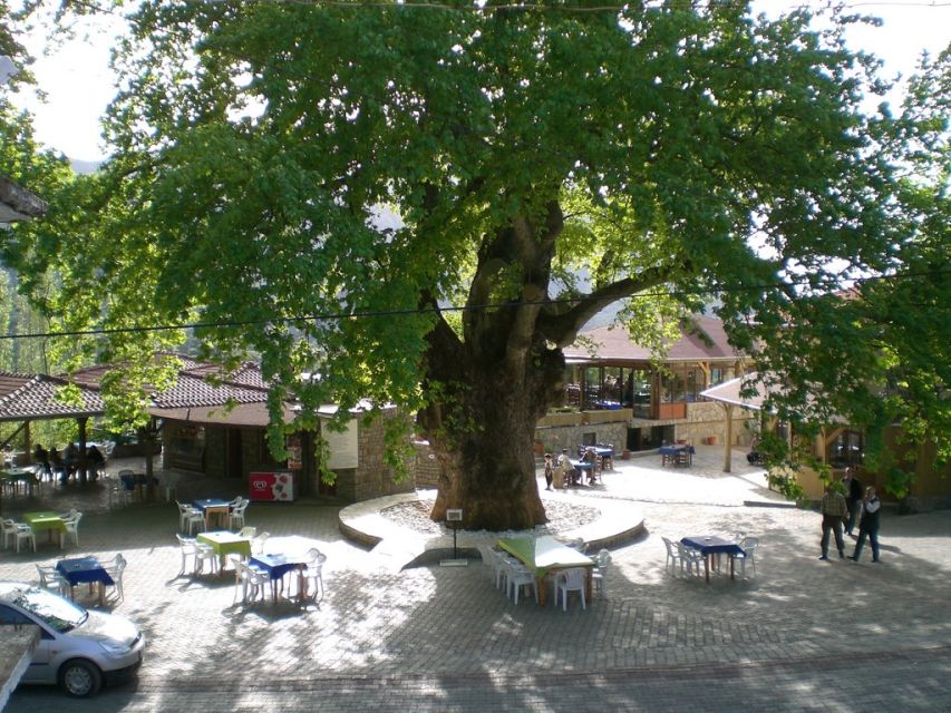 Marmaris Village Tour, Turgut Waterfalls and Mermaid Sand - Bayır Beekeeping and Pine Honey Tasting: What You’ll Remember After Lunch