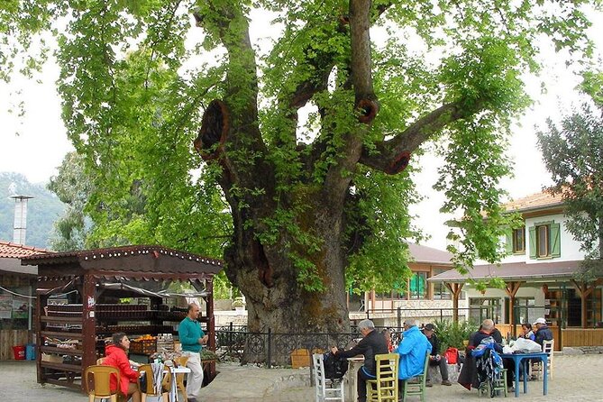 Marmaris Village Tour with Waterfalls & Visit Jesus Beach - Kizkumu Jesus Beach: the Sand-Wall Walk