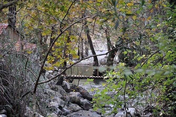 Monster Green Canyon Safari with Lunch - Lake swim time: the part to plan for