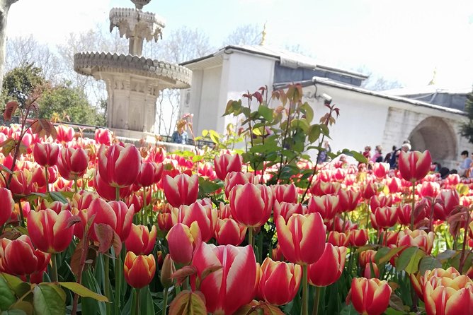 Most famous sites of Istanbul - Ticket handling that saves time—plus what you still pay