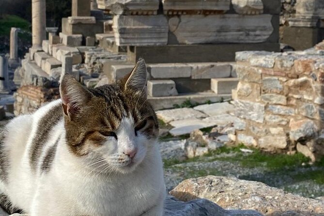 NO HIDDEN FEES : Ephesus, Virgin Mary's House, St. John Basilica - The House of the Virgin Mary: Quiet, Views, and a Different Pace
