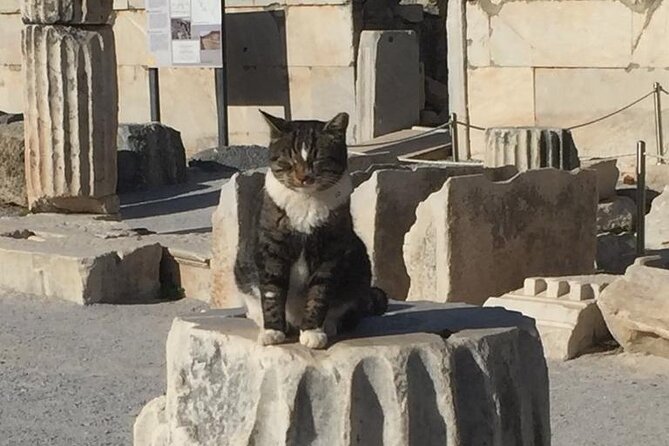 NO HIDDEN FEES Private Ephesus with skip the line tickets - Price and value: why $129 per person can work