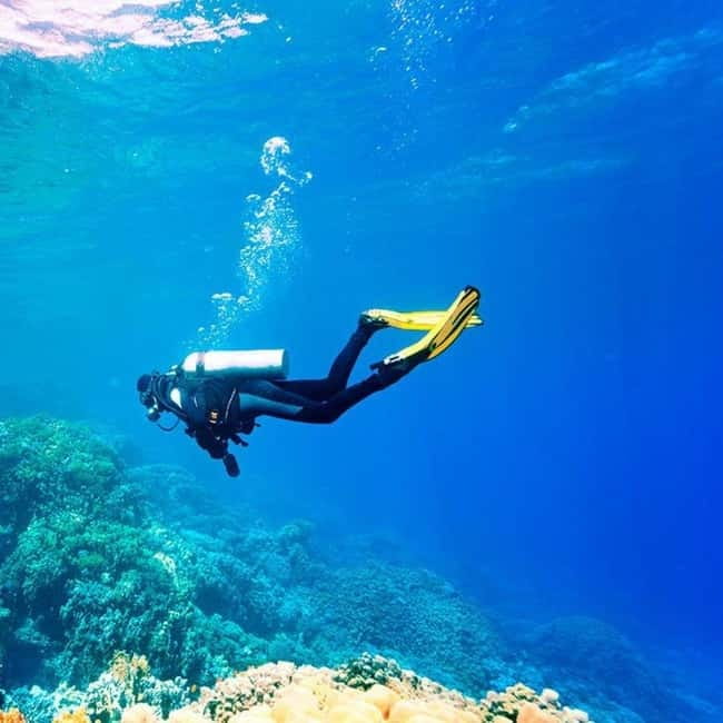 Oludeniz Half Day Scuba Diving Program - Key points to know before you go