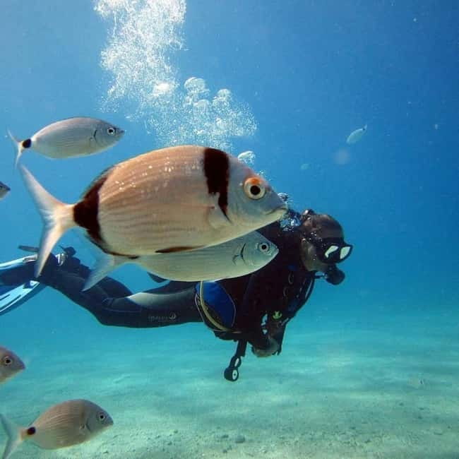 Oludeniz Half Day Scuba Diving Program - Route options: Blue Cave for life, Cape Ataturk for a practical pattern