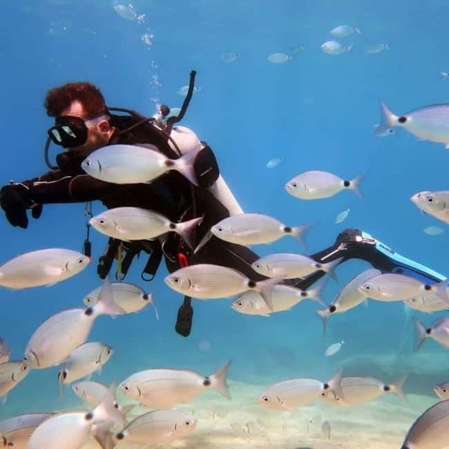 Oludeniz Half Day Scuba Diving Program - Price and value: what $87 really buys you