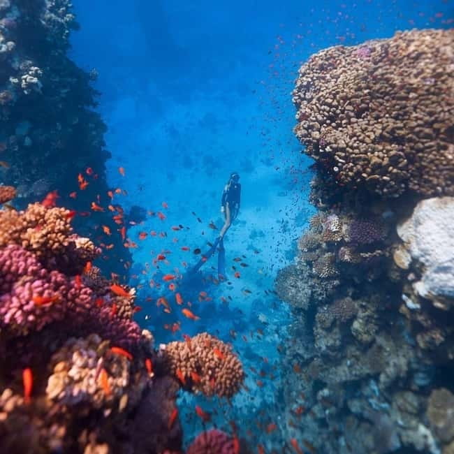 Oludeniz Half Day Scuba Diving Program - What to bring (and what to skip) so you don’t lose time