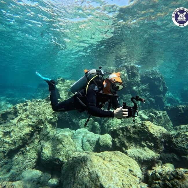 Oludeniz Half Day Scuba Diving Program - Who this suits best in Ölüdeniz
