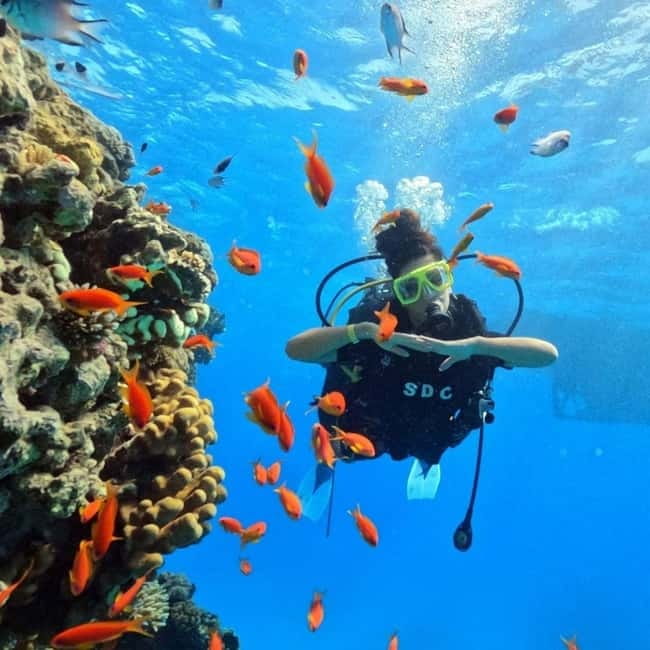 Oludeniz Half Day Scuba Diving Program - The 2–3 hour pacing: briefing, 30 minutes underwater, then swimming
