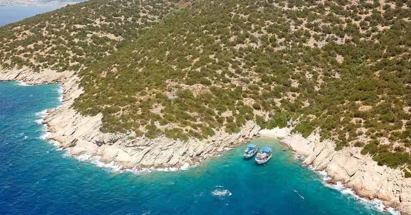 Orak island Boat Trip Bodrum - Price and Value: What You’re Really Paying For