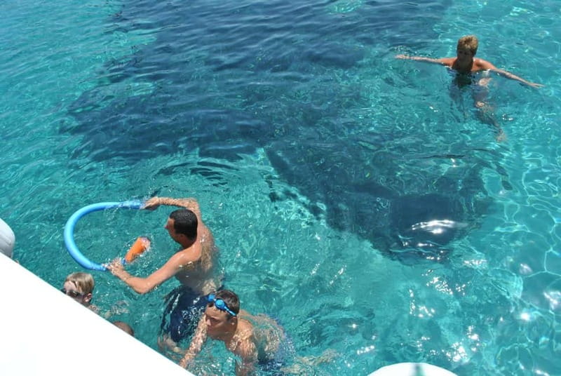 Orak island Boat Trip Bodrum - Who This Tour Suits Best (and Who Might Want a Different Plan)