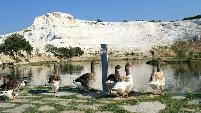 Pamukkale and Hierapolis: Full-Day Private or Group Tour - Guide, group size, and the difference between private and group touring