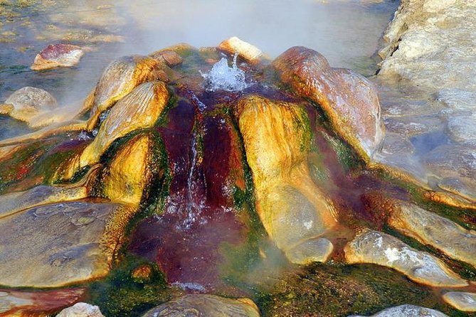 Pamukkale, Cleopatra’s pool, Hieropolis from Antalya with lunch - Oz Ra Tekstil Ihracat after lunch: textiles without the frantic shopping rush