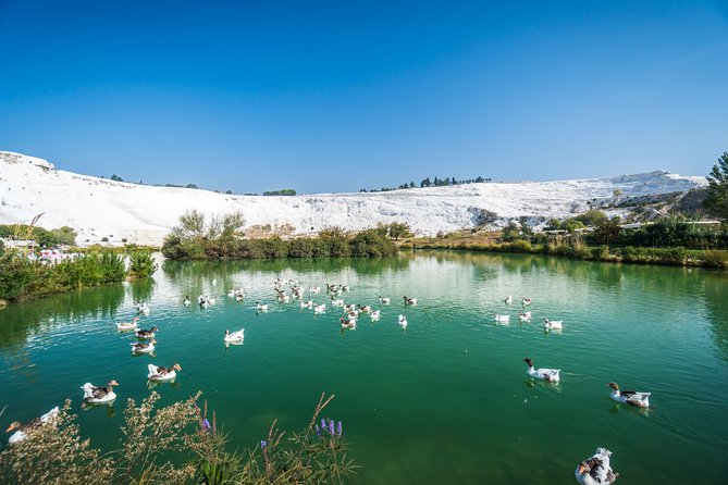 Pamukkale Day Tour from Selcuk - Who This Tour Suits Best (and Who Might Want a Different Style)