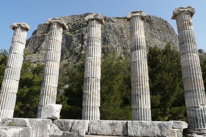 Priene Miletos Didyma (PMD) Tour From Kusadasi Port / Hotels - Price and value: is $299 worth it for Priene, Miletos, and Didyma?