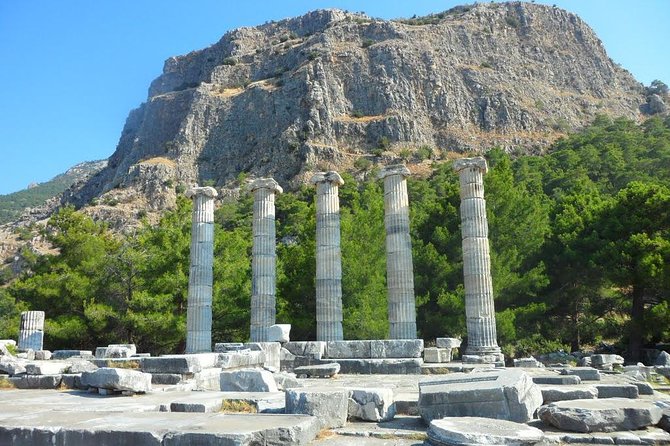 Priene, Miletus, and Didyma Day Tour from Kusadasi - Small-Group Minibus and a Real Human Pace