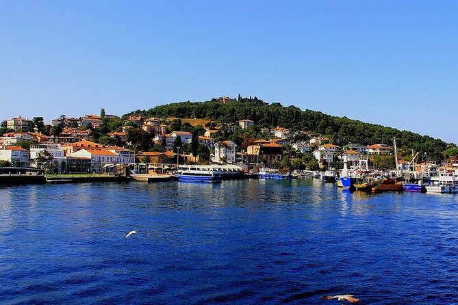 Princes Island Full Day Tour - The Shopping and Istanbul Return: Useful, or a Friction Point