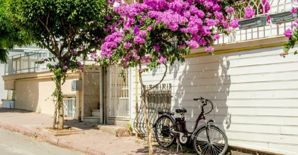 Prince's Island Group Tour - Key things worth knowing before you go