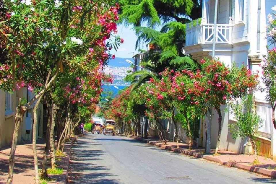 Prince's Island Group Tour - The electric buggy/tuk-tuk add-on: worth it or just a gimmick?