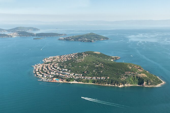 Princes Island Tour From Istanbul - Heybeliada Free Time: Green Island, Short Window
