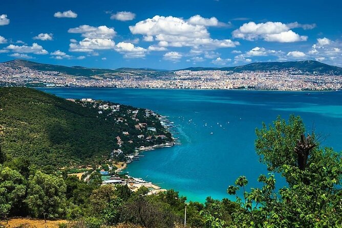 Princes Island Tour From Istanbul - Lunch That’s Actually Included (Or Not): What You Should Expect