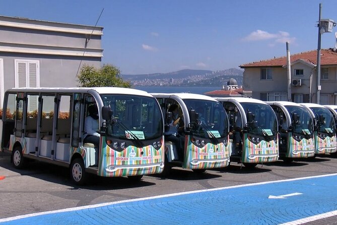 Princes Island Tour From Istanbul - Comfortable Boat or Packed Ride: Managing the Reality