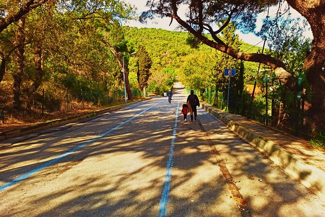 Princes' Islands ( Büyükada ) E-bike Tour - The pedal route: nature park time and the Greek Orphanage sight