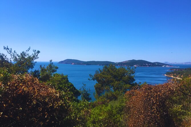 Princes' Islands ( Büyükada ) E-bike Tour - Stop 2: Büyükada center—vendors, local treats, and an easy ending