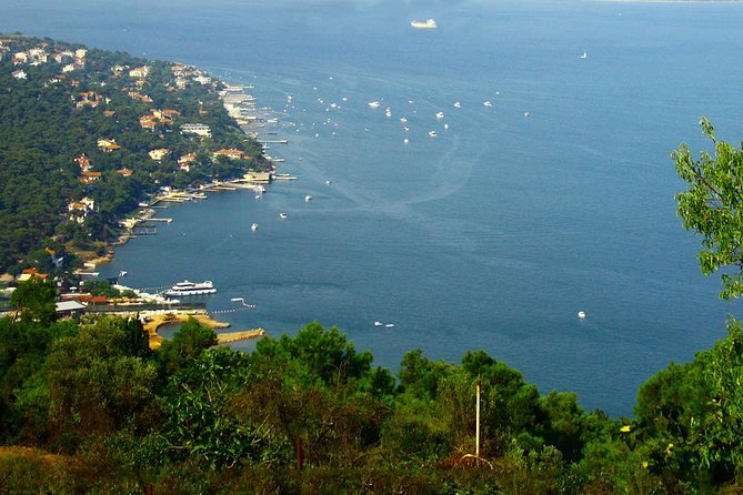 Princes' Islands Tour from Istanbul - Key Points Before You Go