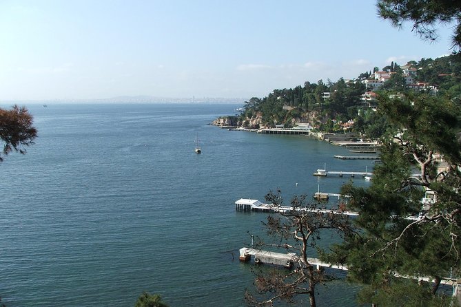 Princes' Islands Tour from Istanbul - Buyukada Tabiat Parkı: The Island Break That Helps You Breathe