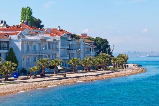 Princes Islands Tour WITH Private Boat, optional Pickup & Lunch - Getting to the meeting point: Taksim Gümüşsuyu at 9:00