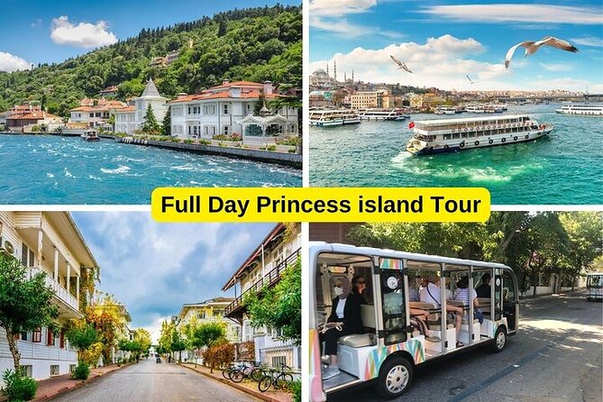 Princess Islands Daily Tour from Istanbul - Price and included value: what you get for $40.50