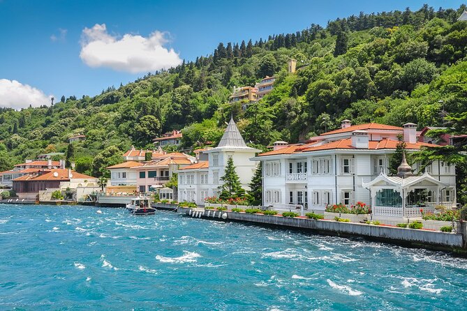 Princess Islands Tour With Lunch and Guide - A Private Boat Ride: Büyükada Views and Maiden’s Tower