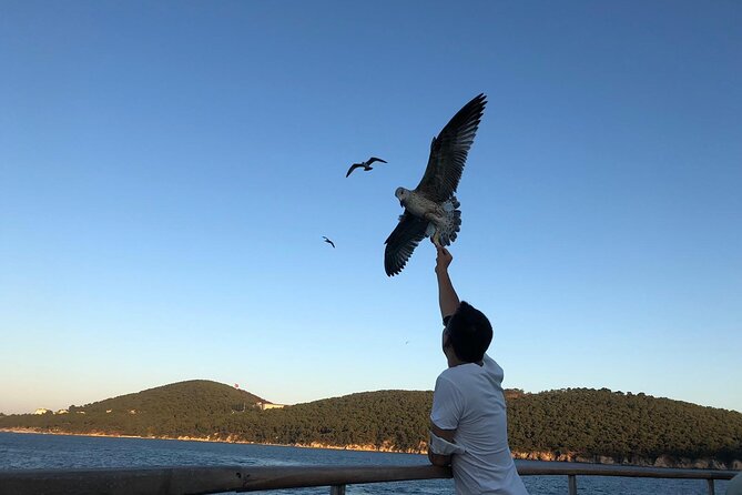 Princess Islands Tour With Lunch and Guide - Büyükada: Four-Course Lunch and Real Swim Time