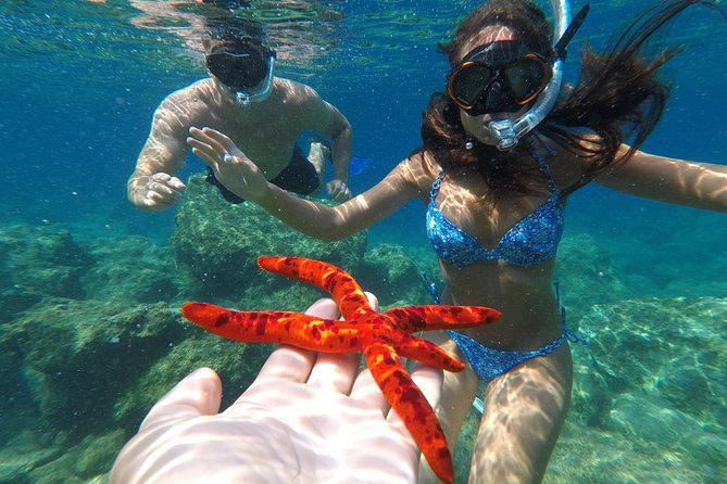 Private Boat Trip to Kas Islands including BBQ Lunch - Snorkel Gear, Underwater Camera, and the Seascooter: The Fun Tech