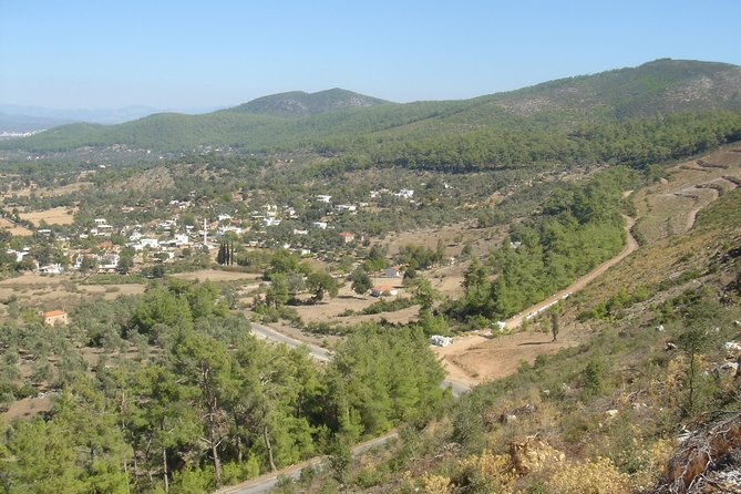 Private Bodrum Village Tour + 1 Glass Free Local Wine - A countryside day with real rhythm (not a checklist)