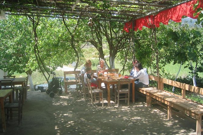 Private Bodrum Village Tour + 1 Glass Free Local Wine - Stop 1: Bodrum village life—houses, coffee, market, and a cooperative
